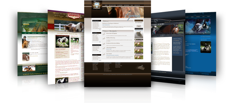 Horse Website Designs